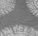 Gardine mit Ösen, Jacquardgewebe, Raschelspitze, Farbe Grau, Design Baumscheiben Transparent, Waschbar, Maße HxB 225x140 cm