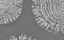 Gardine mit &Ouml;sen, Jacquardgewebe, Raschelspitze, Farbe Grau, Design Baumscheiben Transparent, Waschbar, Ma&szlig;e HxB 225x140 cm