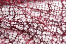 -20352-004  Bordeaux-245x140 Gardine Netzvorhang mit Ösen einfarbig transparent