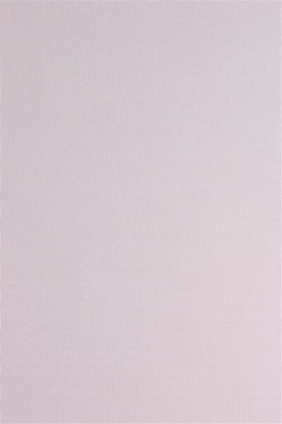 Schiebevorhang, Flächenvorhang, Farbe fuchsia, 2 Stück, my home, Größe: ca. HxB: 245x57 cm, mit Klettband
