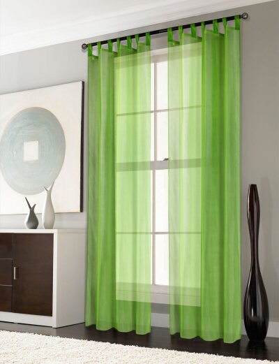 -61000CN- 2er-Pack Gardinen Transparent Vorhang Set Wohnzimmer Voile Schlaufenschal mit Bleibandabschluß Apfelgrün HxB 245x140 cm