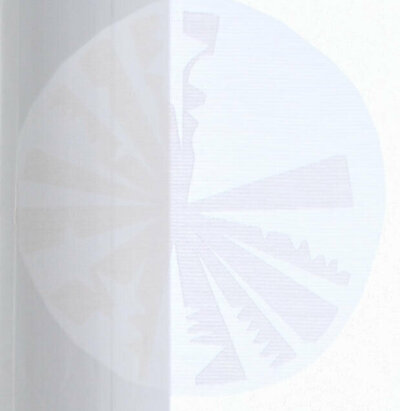 -10000317- Hellbraun HxB 245x60 cm Flächenvorhang »Bilecik« Abtrakt Muster transparent Schiebegardine Gardine