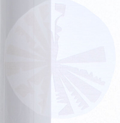 -10000317- Hellbraun HxB 245x60 cm Flächenvorhang »Bilecik« Abtrakt Muster transparent Schiebegardine Gardine